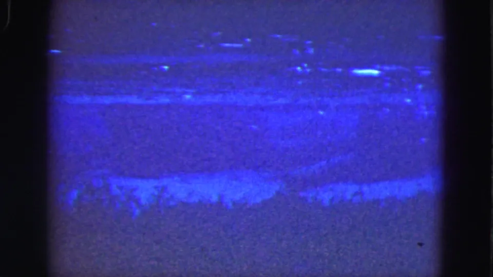 1975 Florida Everglades 8mm frame with bright blue streaks across a grainy purple field, suggesting misexposure or film-surface artifact.