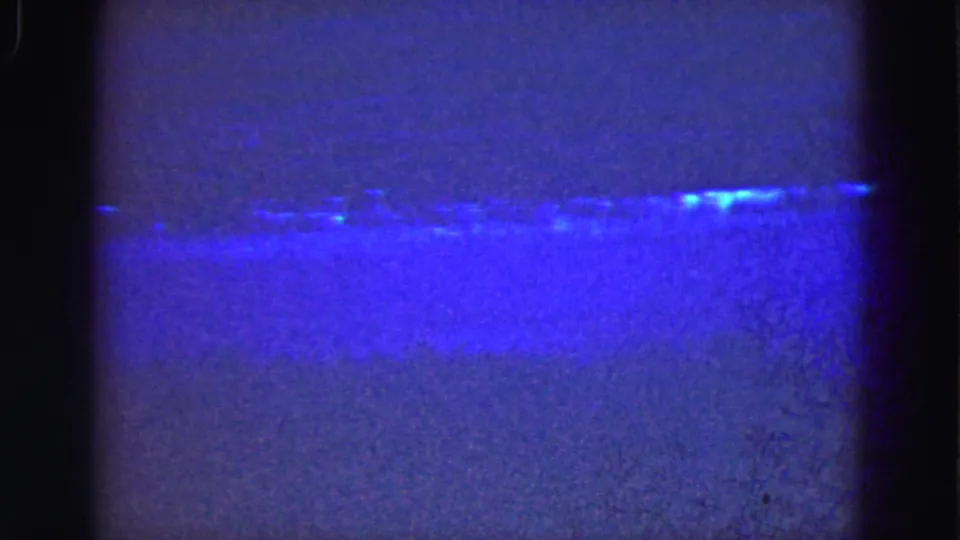 1975 Florida Everglades home-movie frame showing blue water, a low shoreline, and rounded dark film-gate edges.