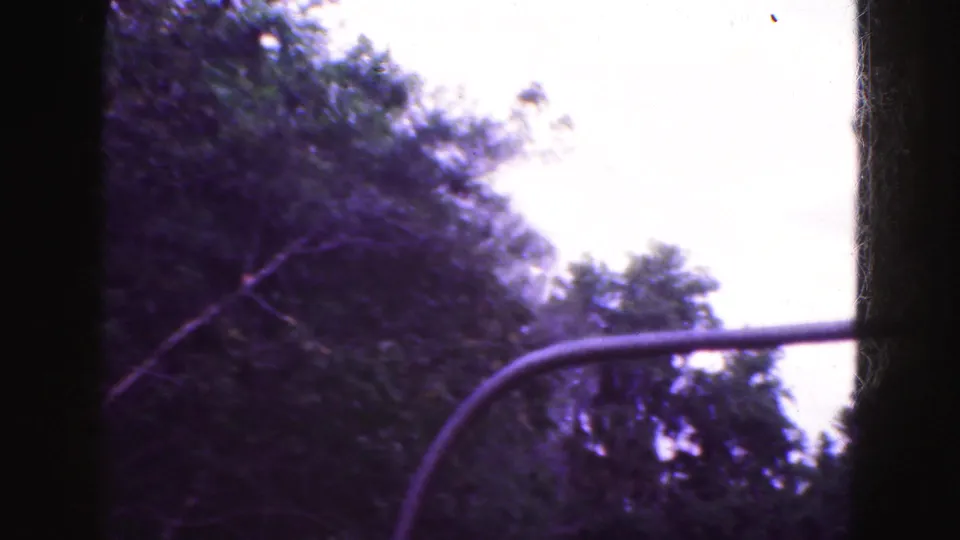 1975 8mm Florida Everglades frame looking upward past dark tree canopy and a curved rail, with bright overexposed sky at the edge.