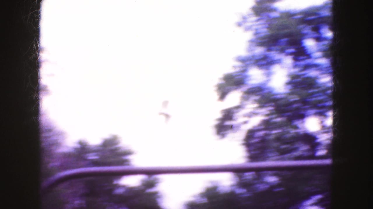 Blurred trees and roadside foliage passing a vehicle window with dark film-frame borders.