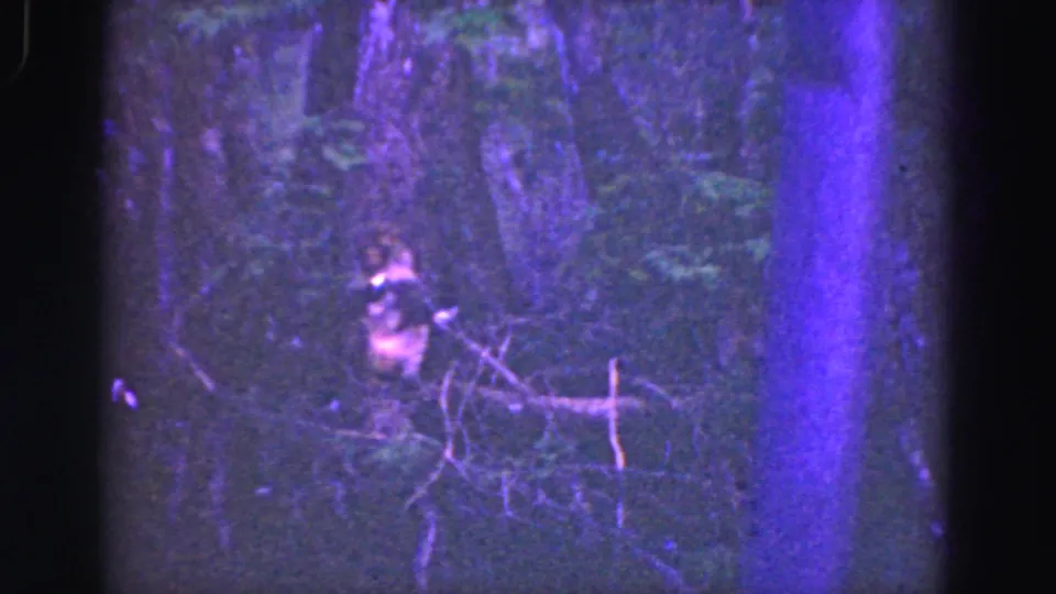 1975 8mm Florida Everglades home-movie frame showing dense brush, trees, and a small person partly visible near the waterway.