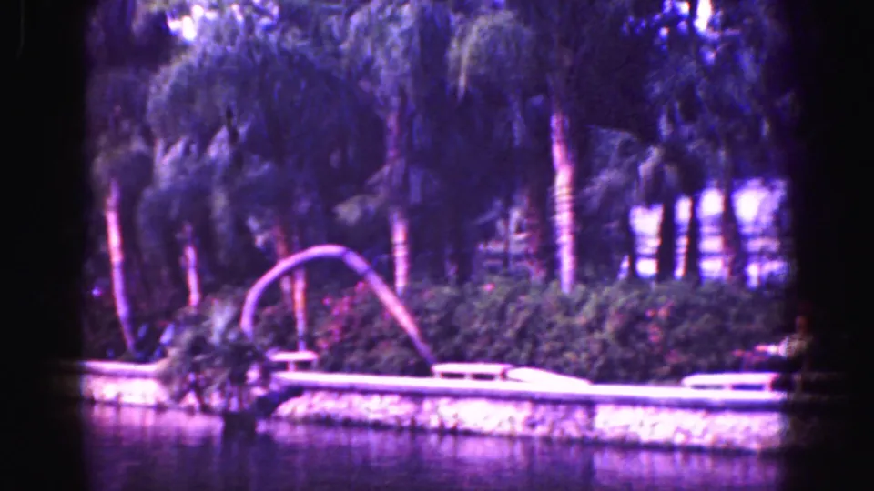 1975 8mm Florida Everglades home-movie frame showing still water, a low bank, palms or trees, and an arched branch.