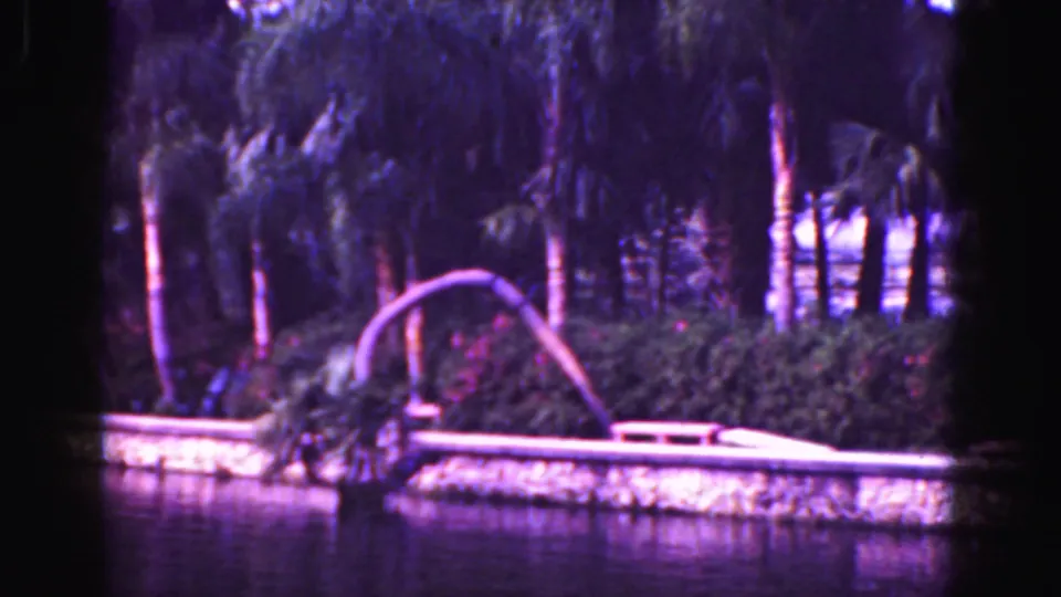 1975 8mm Florida Everglades frame showing a water edge, low bank, dense trees, brush, and a curved branch in aged color.