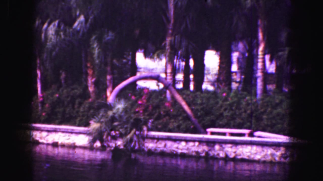 1975 Florida 8mm frame of a curved palm over a lake or canal with tropical foliage and stone edging.