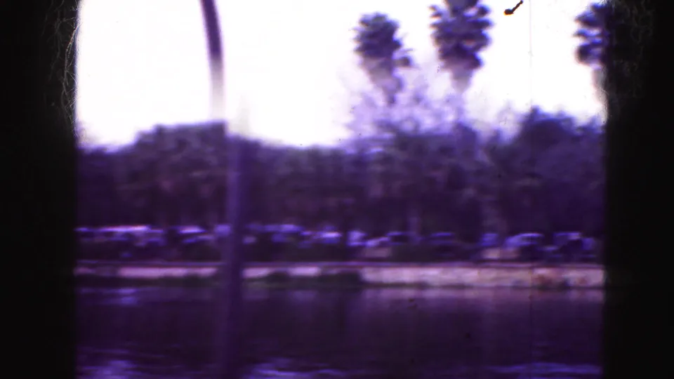 1975 Florida home-movie frame looking across water toward palms, low shoreline planting, and distant parked cars.