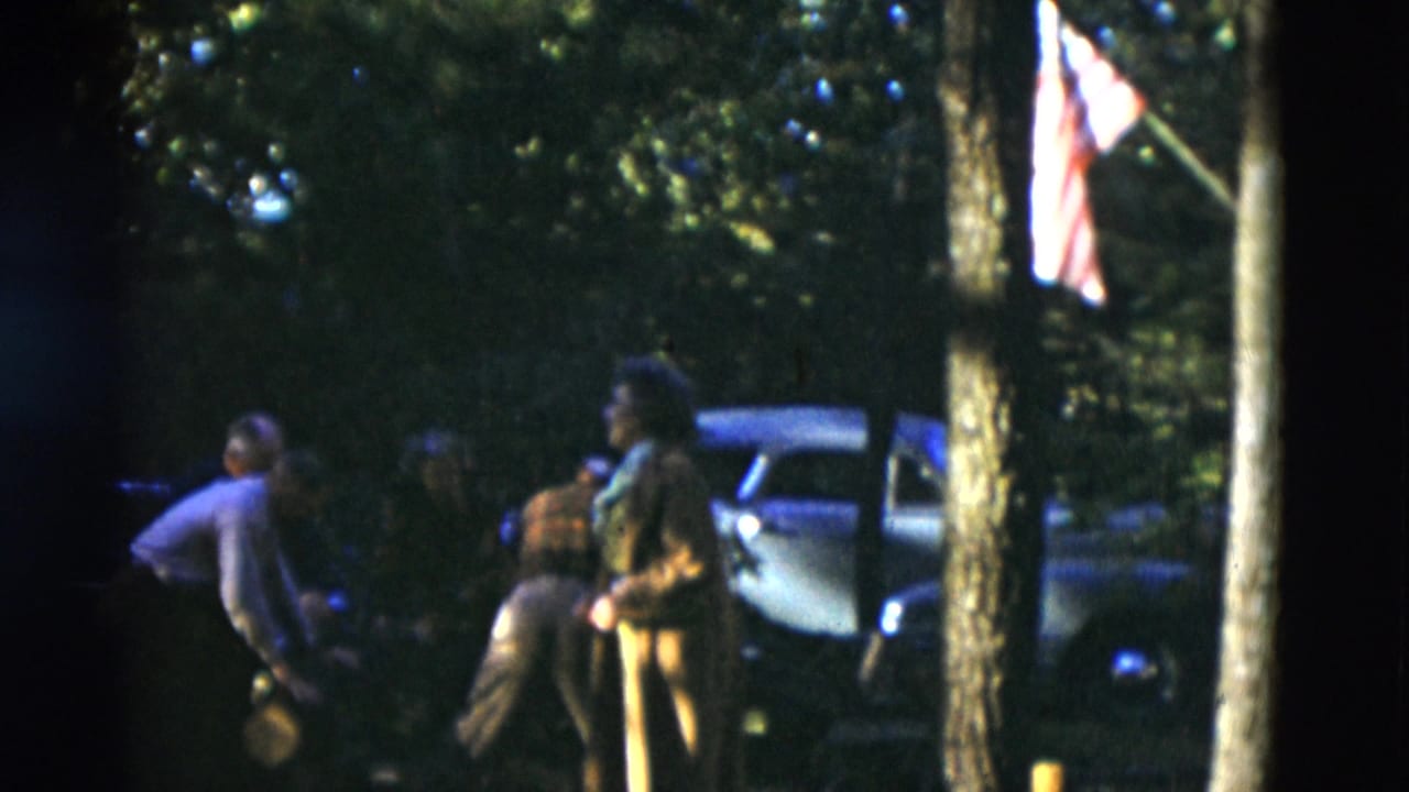 Group of older adults standing near a tree, parked car, and American flag.