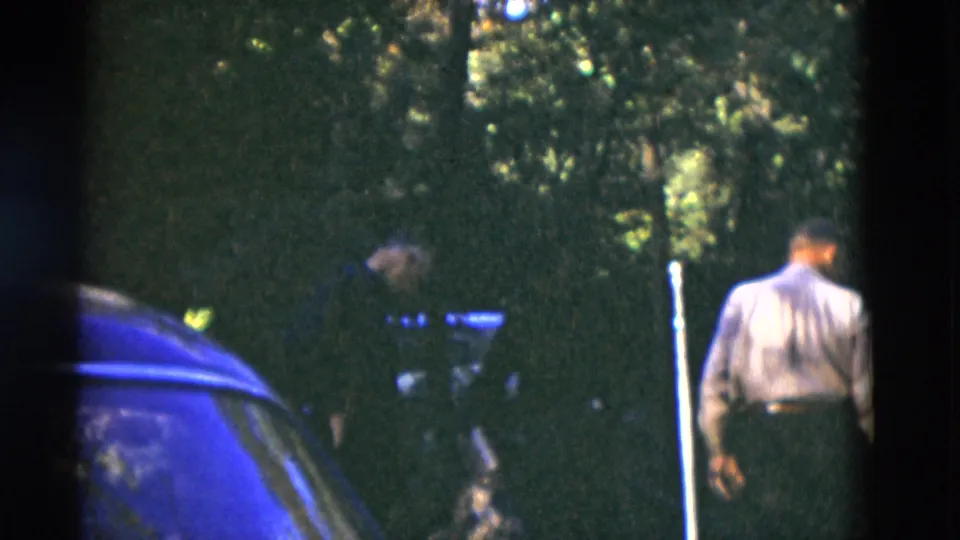 A man seen from behind stands at the edge of the shaded outdoor gathering, with a car roof and wooded background visible.