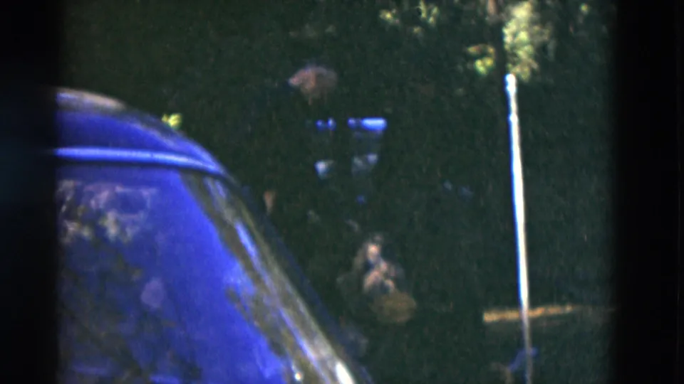 1975 Somerset, Kentucky 8mm frame showing a dark vehicle, trees, and a pale vertical post in low light.
