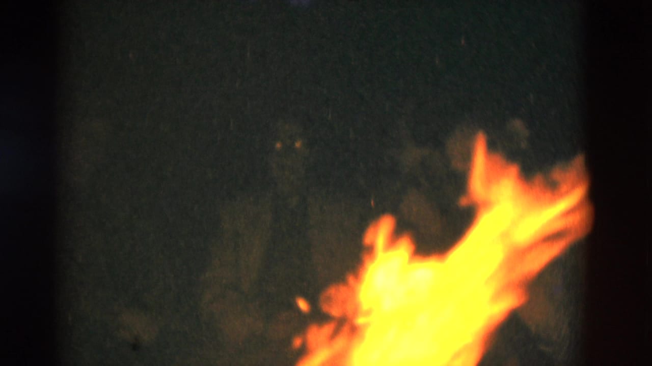 Bright orange campfire flames against a dark, grainy background.
