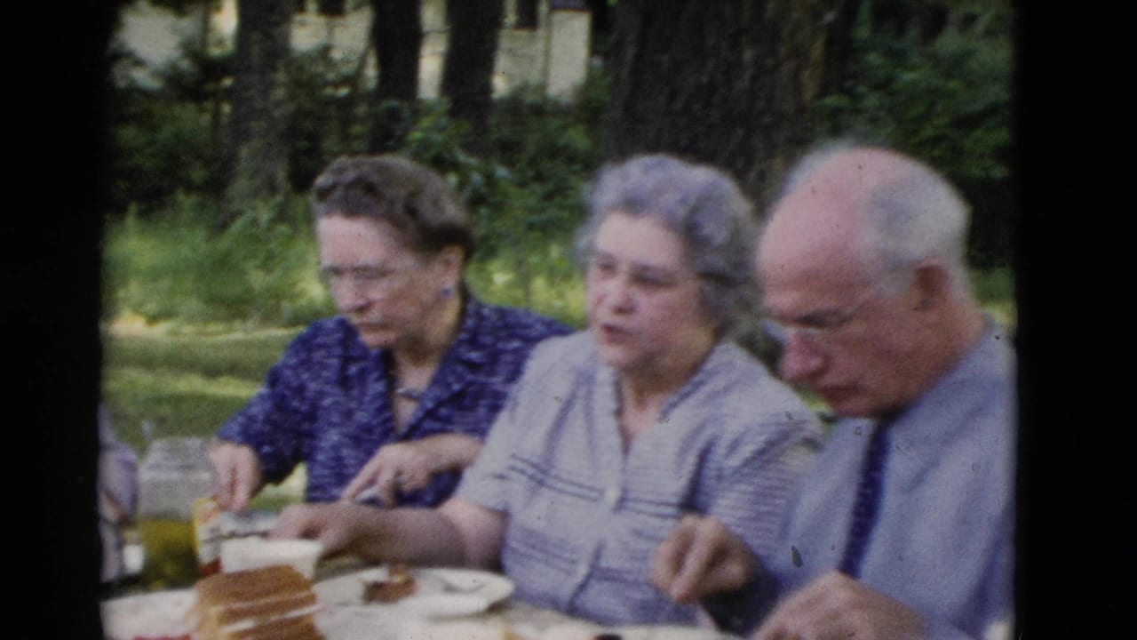 Older adults sit at a park picnic table with cake and drinks.