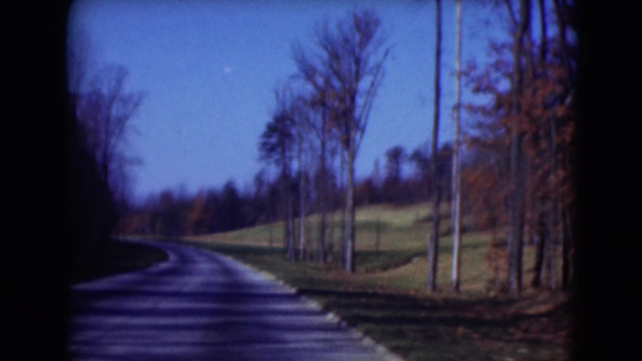 Curving paved road bordered by bare trees and green slopes under a blue sky.