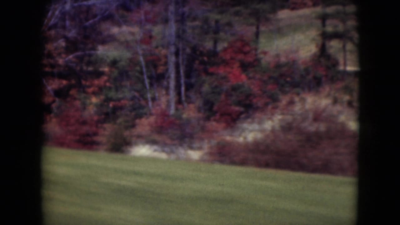 1975 Middletown, Pennsylvania roadside view with green lawn, red autumn shrubs, and trees blurred by vehicle movement.