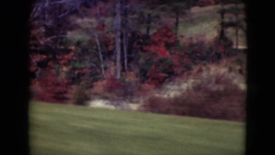 1975 Middletown, Pennsylvania roadside view with green lawn, red autumn shrubs, and trees blurred by vehicle movement.