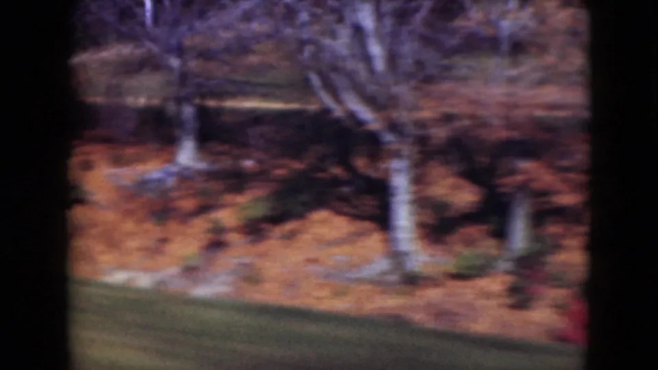 1975 Middletown, Pennsylvania passenger view of roadside trees and orange-yellow autumn foliage moving past the camera.
