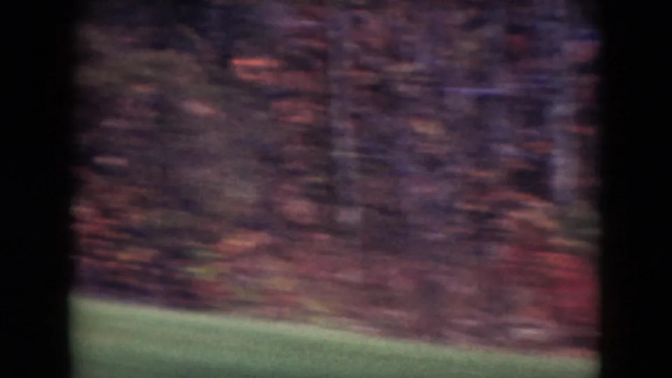 1975 Middletown, Pennsylvania view of a wooded roadside, with red and brown autumn foliage softened by motion blur.