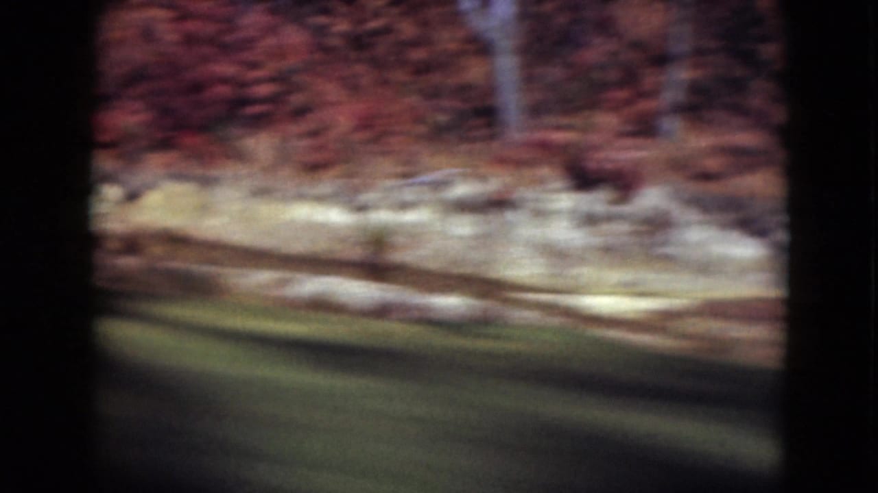 Moving 8mm frame of trees, light roadside ground, and grass in a rural Middletown, Pennsylvania landscape.