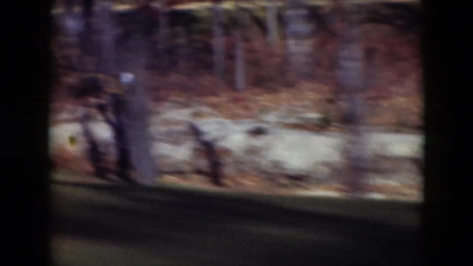 1975 home-movie frame showing a blurred roadside or crossing area with trees and grass viewed from a moving vehicle.