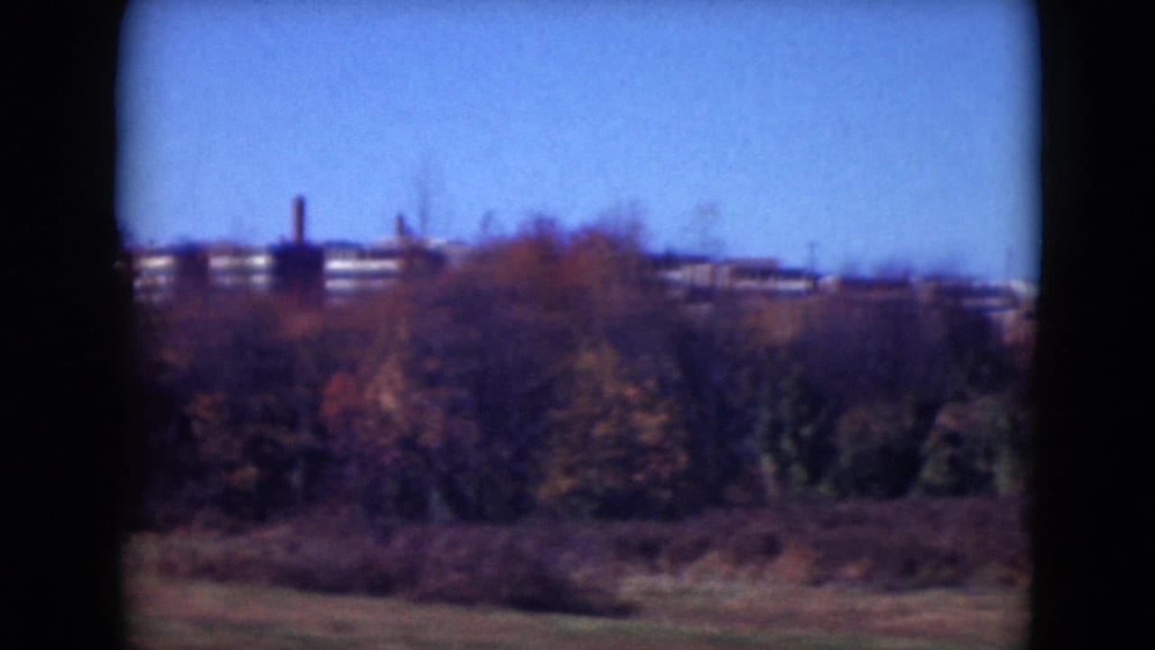 Distant buildings above autumn trees and a grassy roadside, viewed through a film frame.