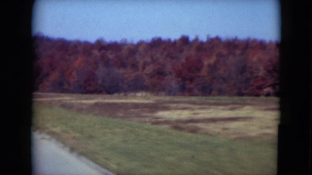 Paved roadside beside open fields and an auburn treeline under blue sky.