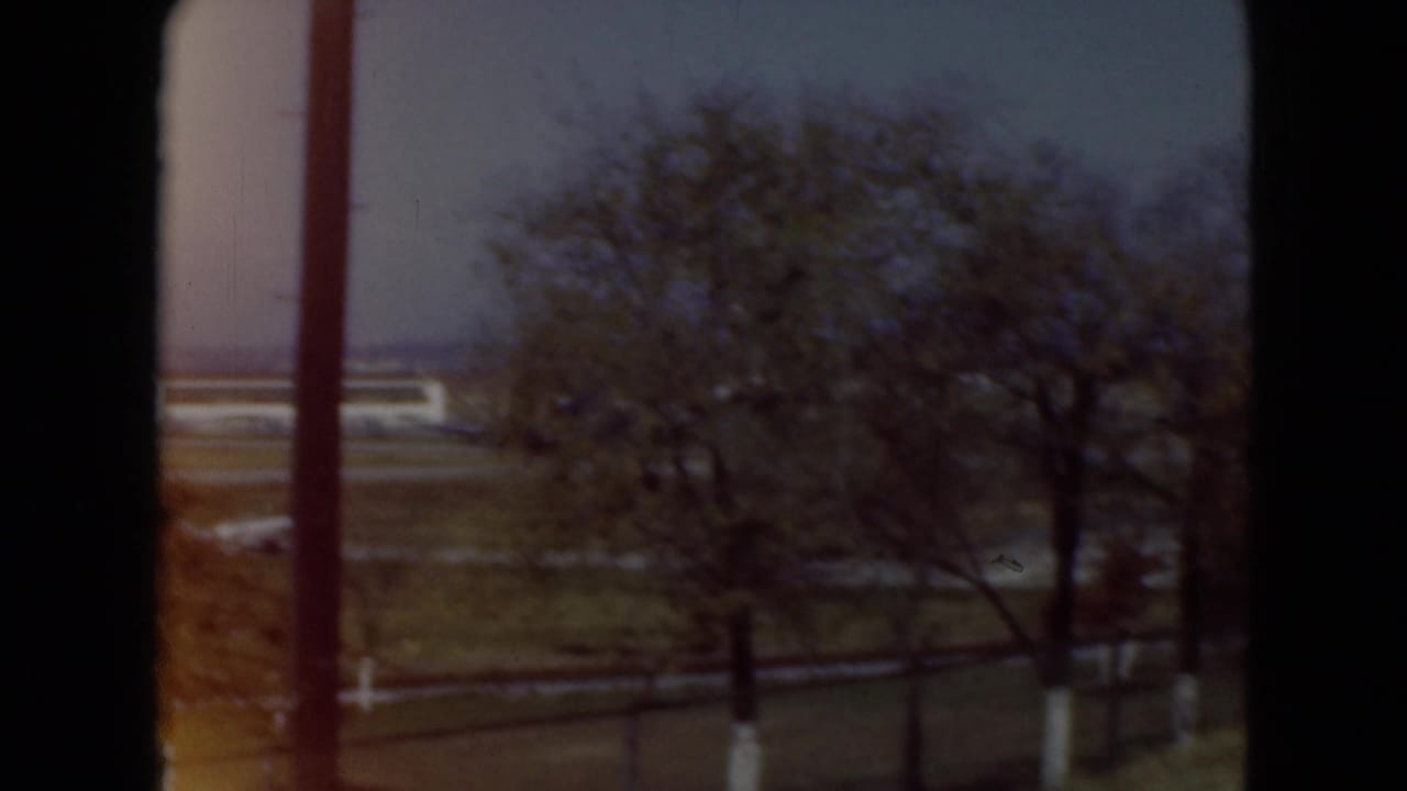 Bare tree and open field seen from behind dark film-frame edges.
