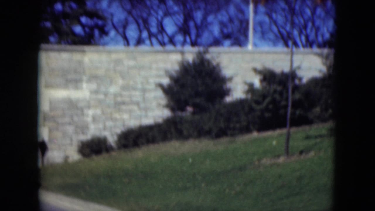 Stone wall above a grassy slope with shrubs, bare trees, and dark 8mm frame edges.