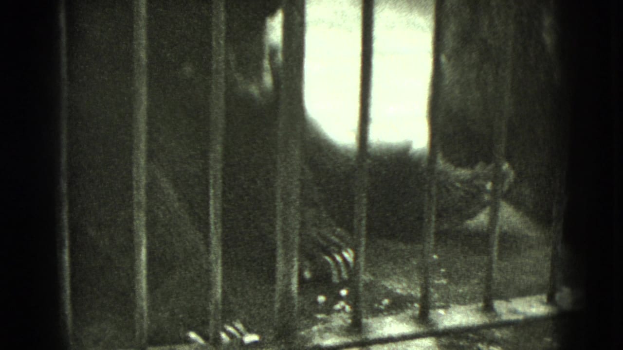 1975 Middletown, Pennsylvania 8mm frame showing a dark, indistinct animal form behind vertical metal bars in heavy shadow.