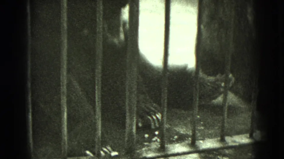 1975 Middletown, Pennsylvania 8mm frame showing a dark, indistinct animal form behind vertical metal bars in heavy shadow.