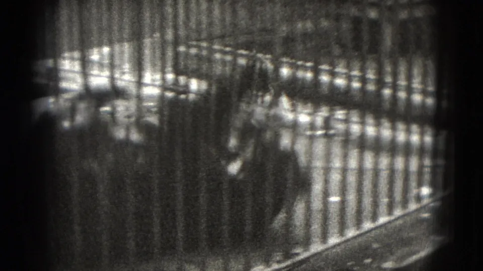 1975 8mm frame from Middletown, Pennsylvania showing a bear partly obscured behind vertical enclosure bars.
