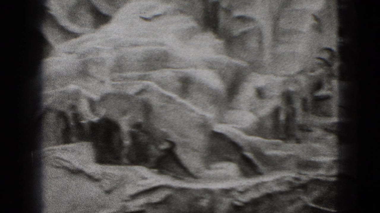 1975 8mm frame from Middletown, Pennsylvania showing goats on an artificial rocky zoo hillside with soft focus and film grain.