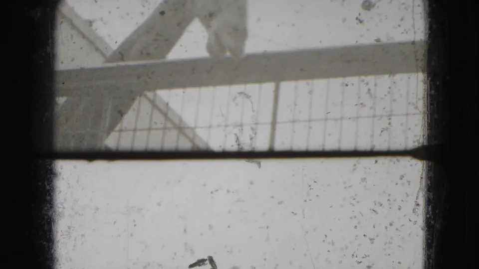 A partial giraffe figure appears near the top of the frame behind enclosure fencing, with scratches and dust visible on the 8mm scan.