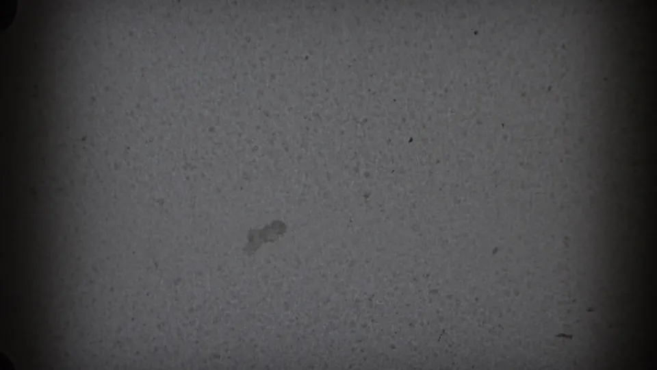 Underexposed 1975 8mm frame from Middletown showing a plain interior wall area with dust, grain, and dark gate shadow.