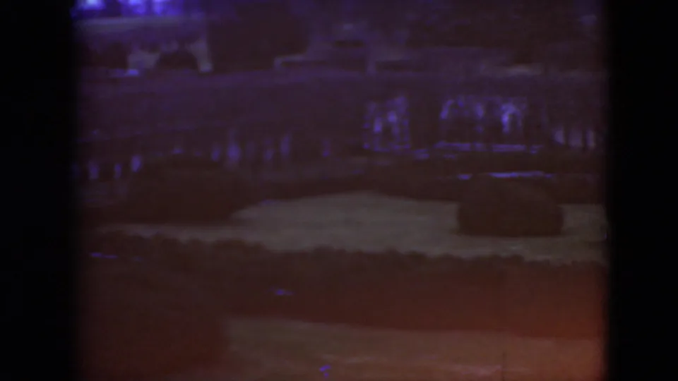 Low-light 8mm frame shows an indistinct garden area or path with a strong purple cast and shadowed shapes.