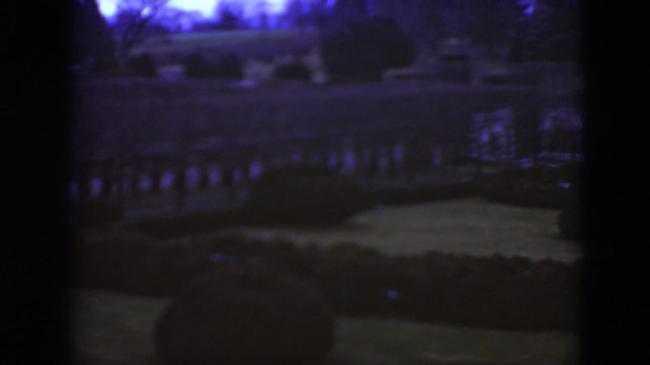Dark garden view with hedges, path, railing and strong blue-purple cast.