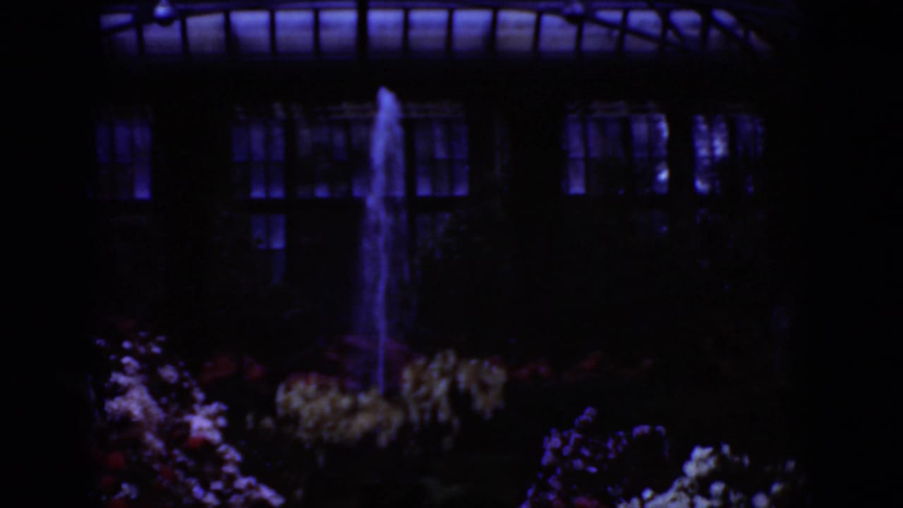 1975 Middletown, Pennsylvania Super 8 frame showing a fountain rising among flowers inside a dim greenhouse or conservatory.