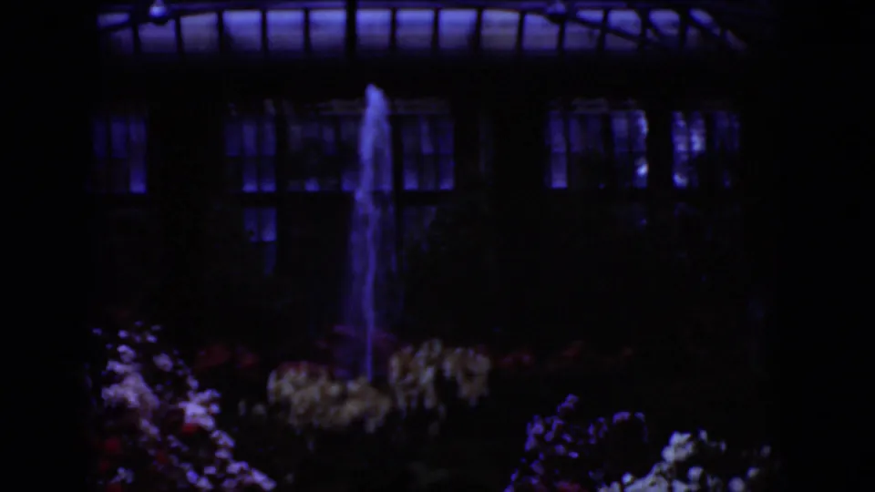 1975 Middletown, Pennsylvania Super 8 frame showing a fountain rising among flowers inside a dim greenhouse or conservatory.
