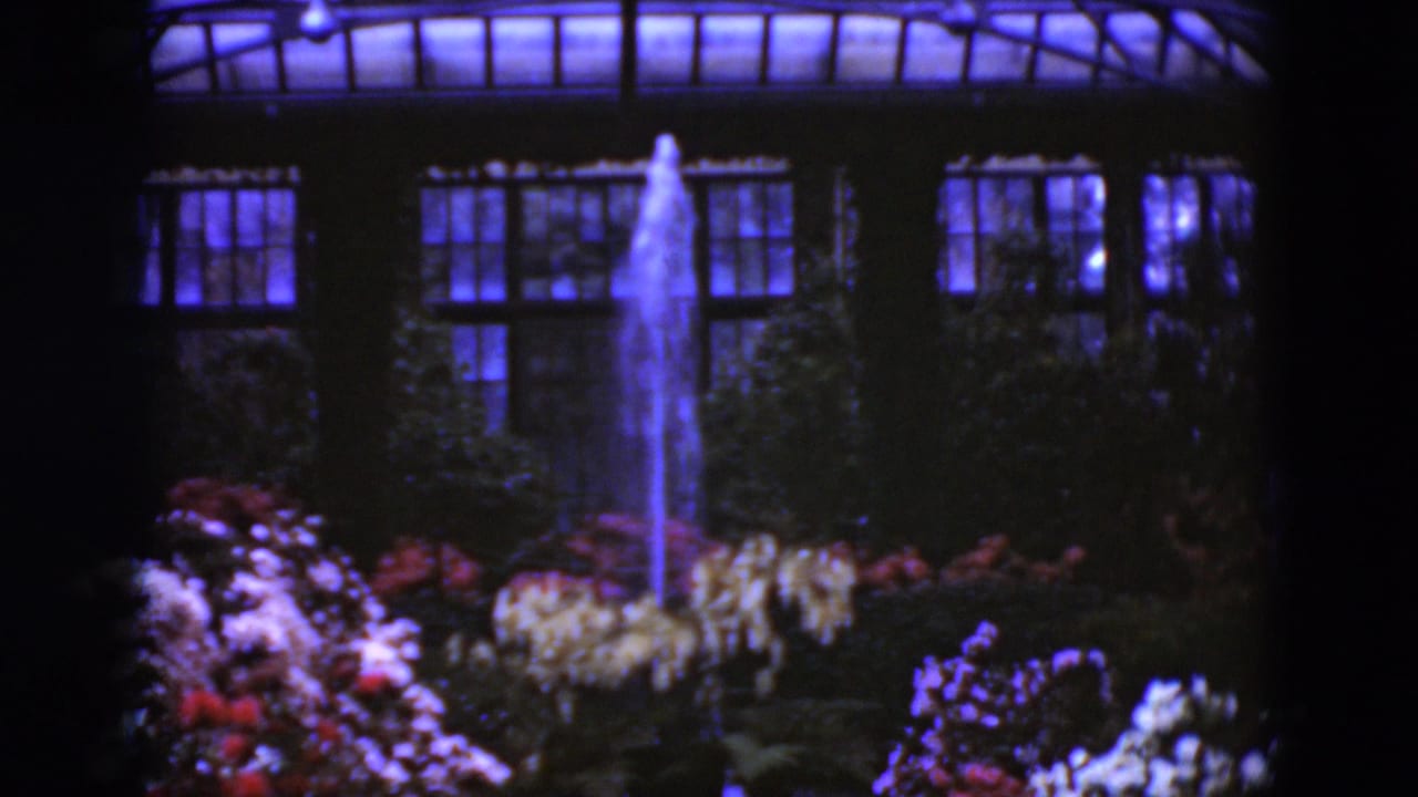 Greenhouse fountain framed by tall windows, roof glass, and dense flowers.