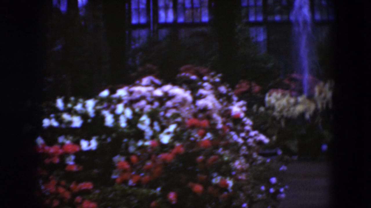Super 8 frame from Middletown, Pennsylvania in 1975 showing flower beds beneath a fountain spray in a shadowed greenhouse interior.