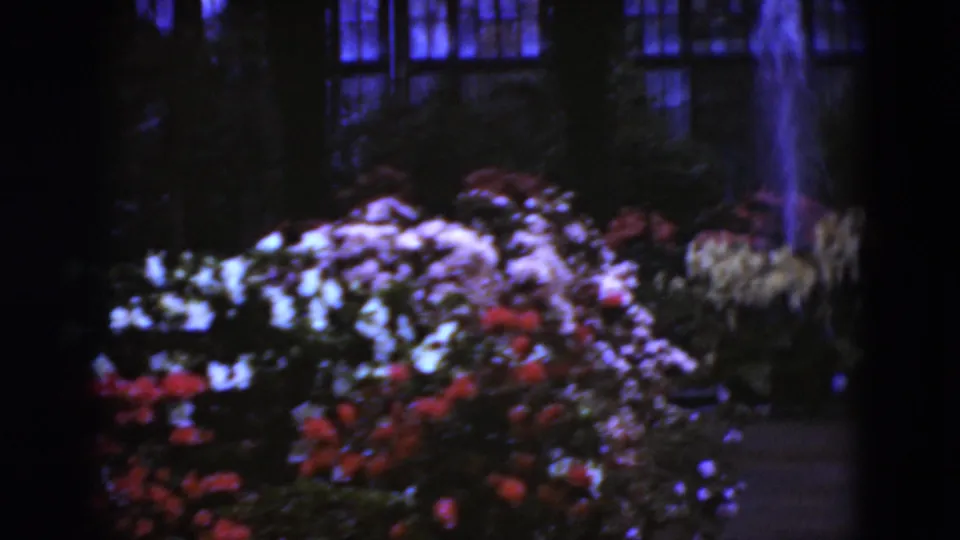 Super 8 frame from Middletown, Pennsylvania in 1975 showing flower beds beneath a fountain spray in a shadowed greenhouse interior.