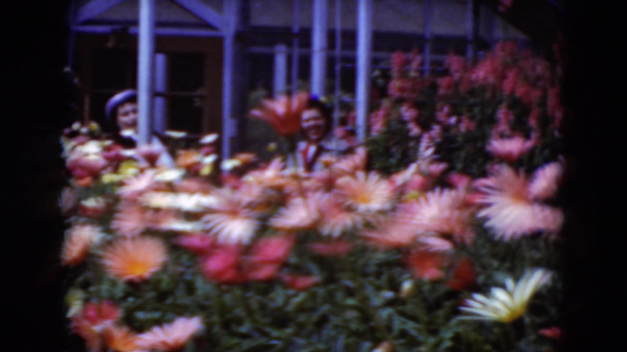 A smiling woman in a dark hat appears behind rows of bright greenhouse flowers.