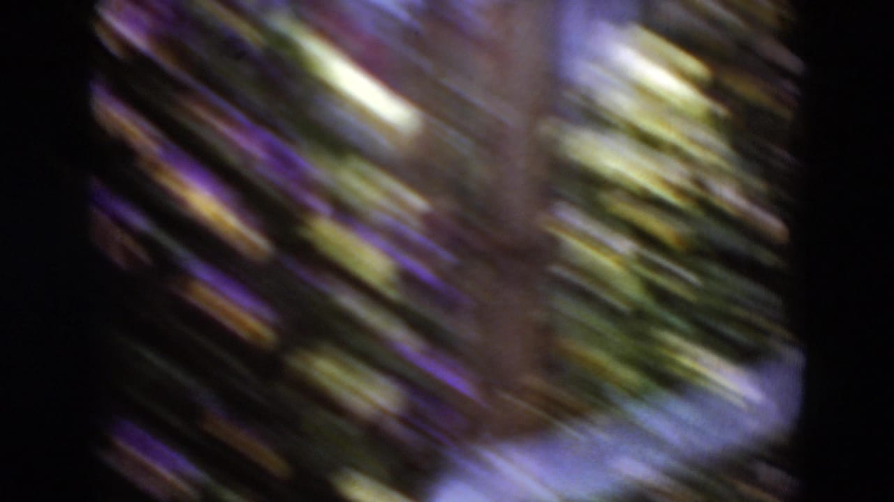 Soft, motion-blurred 8mm frame from a Middletown, Pennsylvania garden or greenhouse display in 1975.