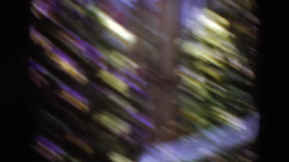 Soft, motion-blurred 8mm frame from a Middletown, Pennsylvania garden or greenhouse display in 1975.