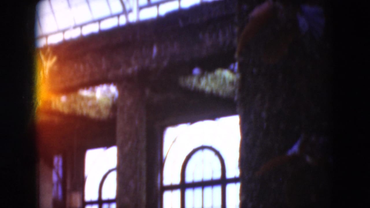 Greenhouse interior with arched windows and a person at right edge.