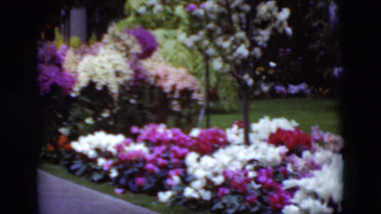 Flower beds with white, pink, and purple blooms beside a paved path.