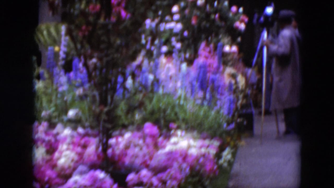1975 8mm home-movie frame from Middletown, Pennsylvania, showing a colorful garden display and an adult operating a tripod camera near the flowers.