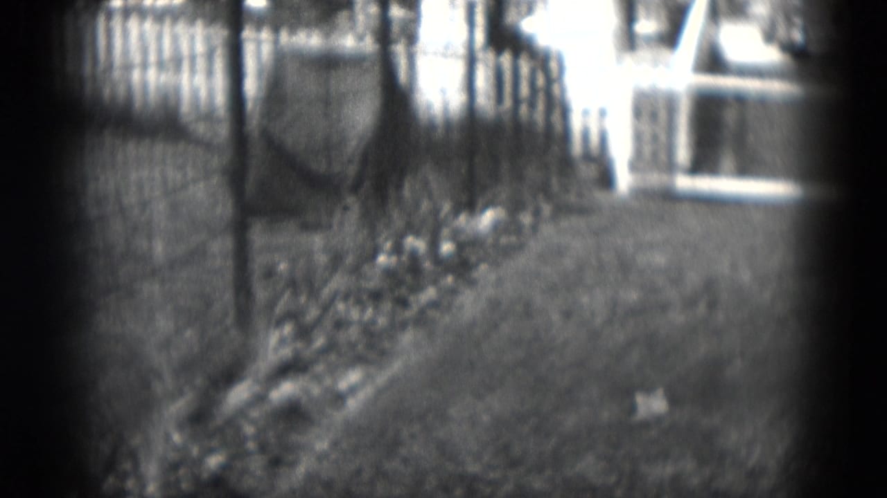 1975 Middletown, Pennsylvania home-movie frame showing a fenced residential yard, shrubs, and neighboring houses in soft focus.