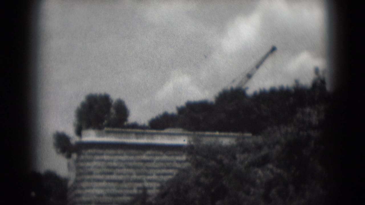Brick building roofline below trees, cloudy sky, and a distant crane.