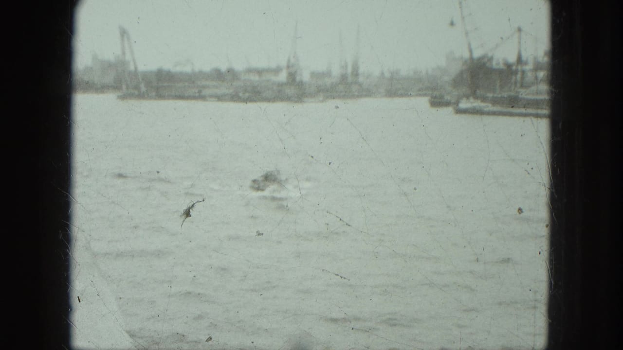 Choppy harbor water with small boats and cranes along the distant waterfront.