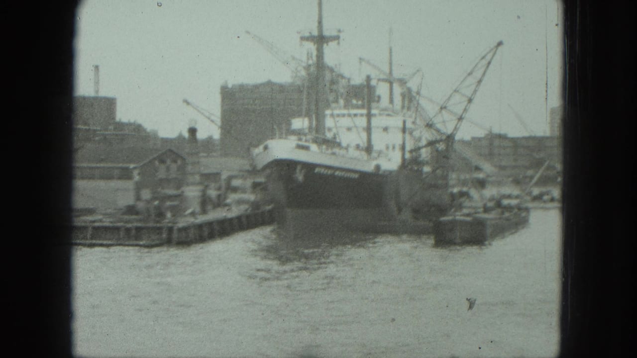 Moored cargo ship seen across harbor water with cranes and dockside structures nearby.