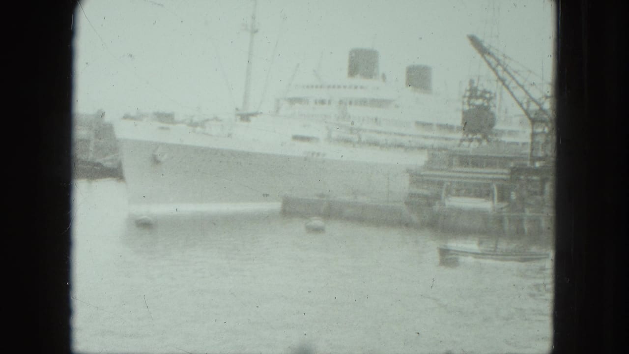 Soft 8mm frame of a large passenger ship at Venice harbor, with cranes and small boats visible across the water.