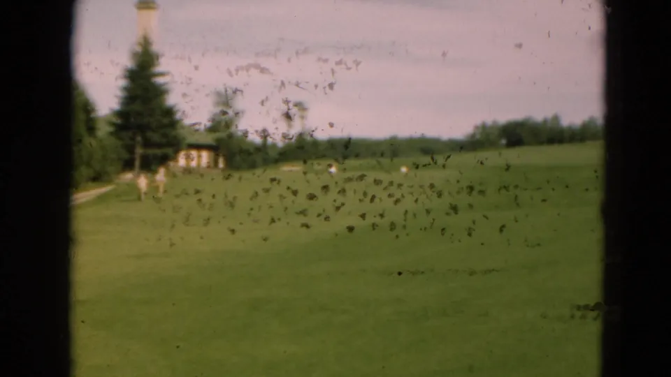 Duluth-area 8mm frame showing resort or golf-course grounds with distant walkers, evergreen trees, and a small building.